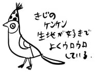 kijikara_004